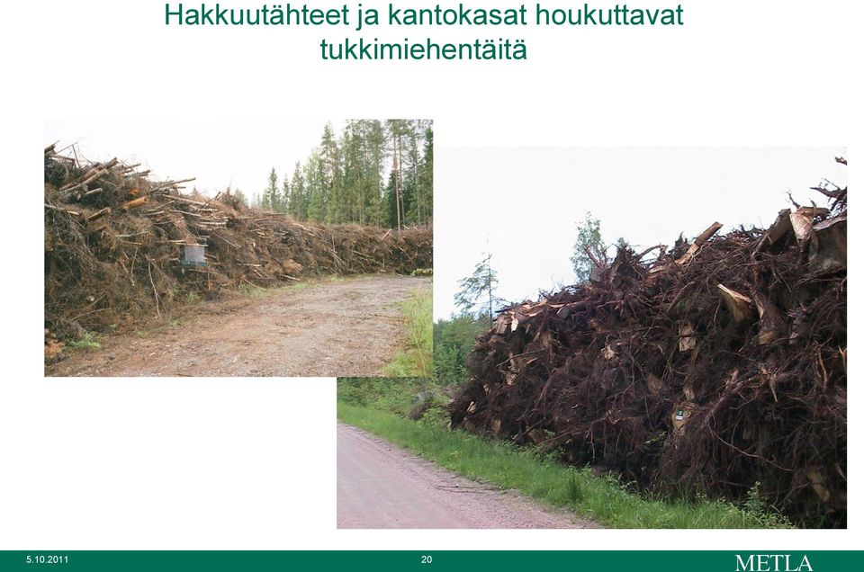 houkuttavat