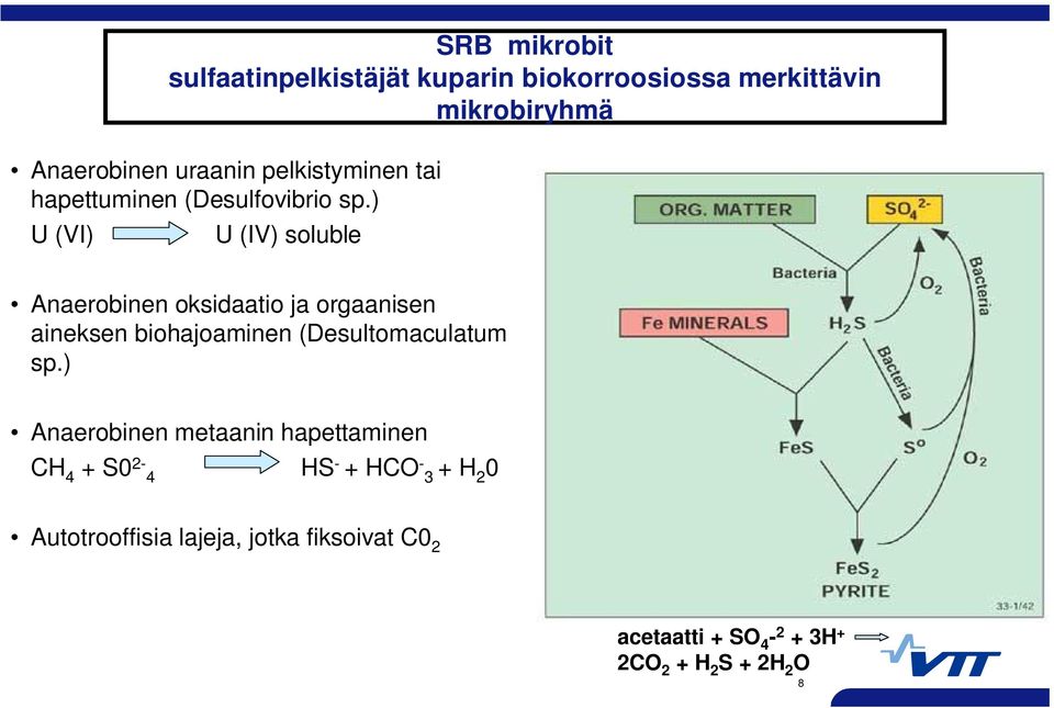 ) U (VI) U (IV) soluble Anaerobinen oksidaatio ja orgaanisen aineksen biohajoaminen (Desultomaculatum sp.