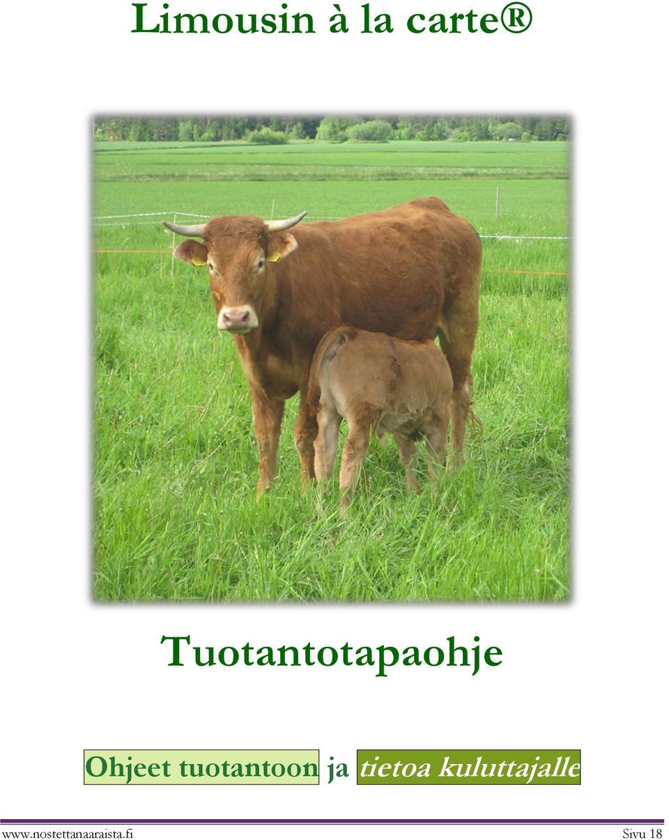 tuotantoon ja tietoa