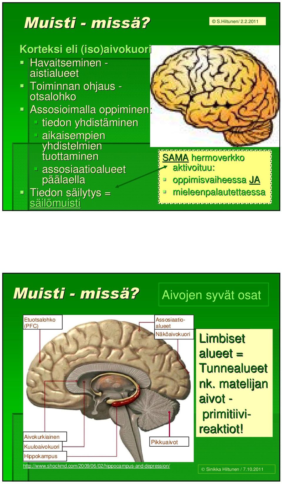 tuottaminen assosiaatioalueet päälaella Tiedon säilytys s = säilömuisti S.Hiltunen/ 2.