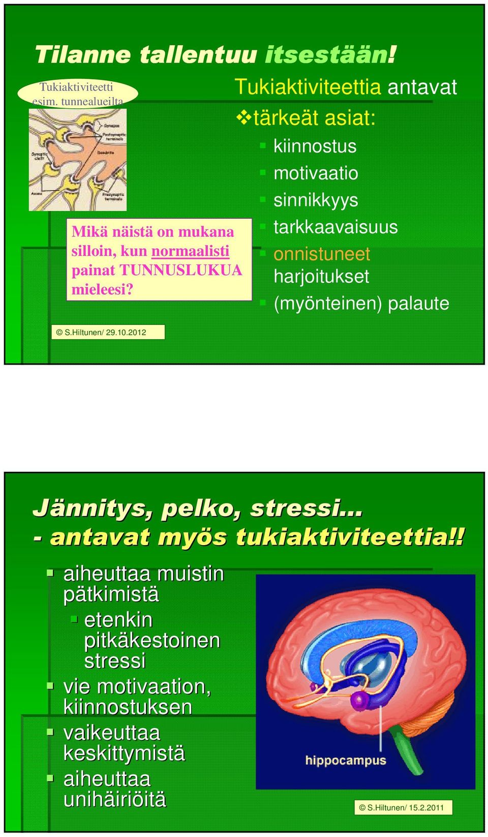 2012 Tukiaktiviteettia antavat tärkeät asiat: kiinnostus motivaatio sinnikkyys tarkkaavaisuus onnistuneet harjoitukset (myönteinen)