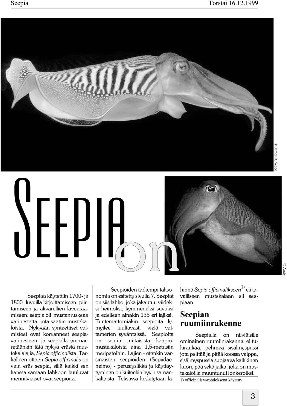 Tarkalleen ottaen Sepia officinalis on vain eräs seepia, sillä kaikki sen kanssa samaan lahkoon kuuluvat merinilviäiset ovat seepioita. Seepioiden tarkempi taksonomia on esitetty sivulla 7.