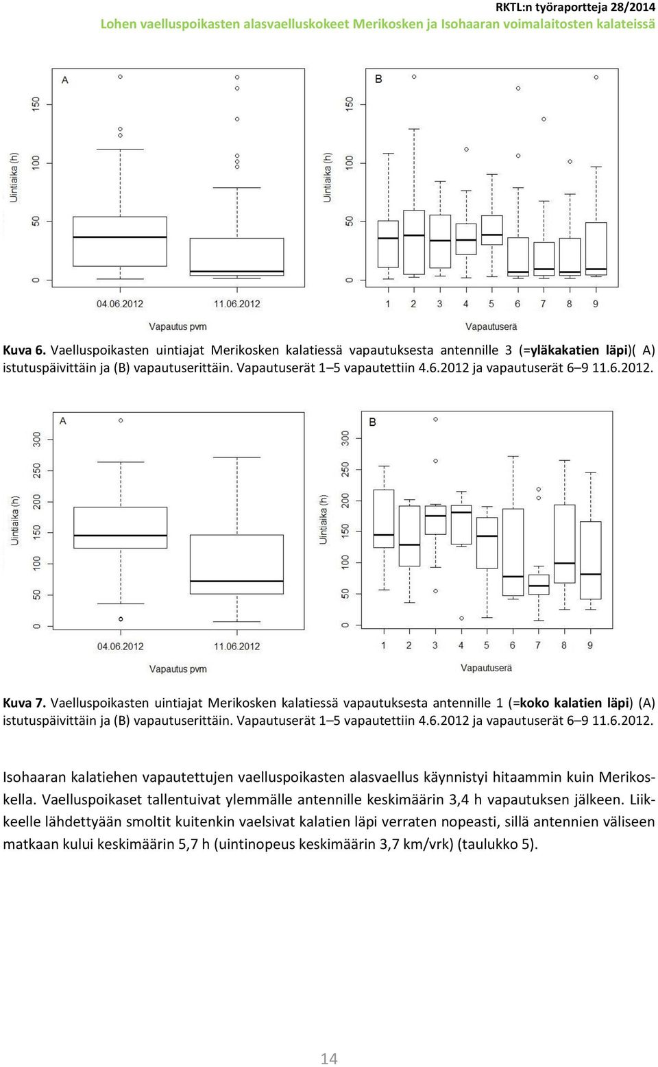 6.2012. Isohaaran kalatiehen vapautettujen vaelluspoikasten alasvaellus käynnistyi hitaammin kuin Merikoskella. Vaelluspoikaset tallentuivat ylemmälle antennille keskimäärin 3,4 h vapautuksen jälkeen.