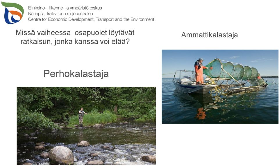 ratkaisun, jonka kanssa