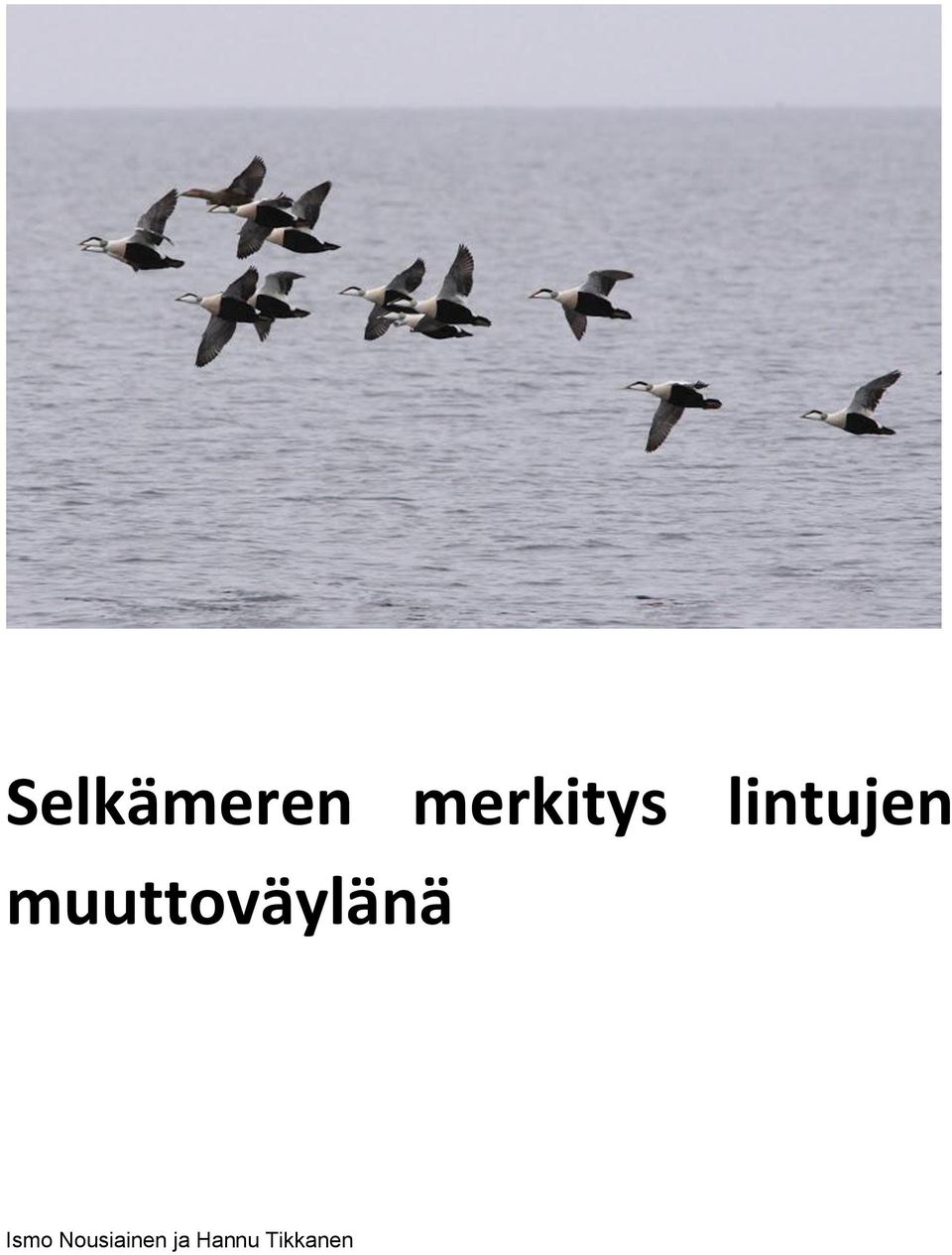 muuttoväylänä Ismo