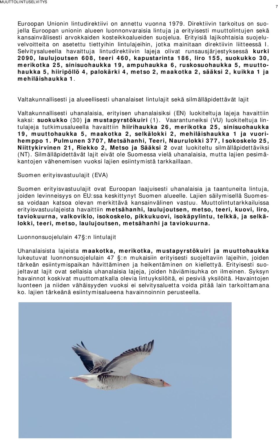 Erityisiä lajikohtaisia suojeluvelvoitteita on asetettu tiettyihin lintulajeihin, jotka mainitaan direktiivin liitteessä I.