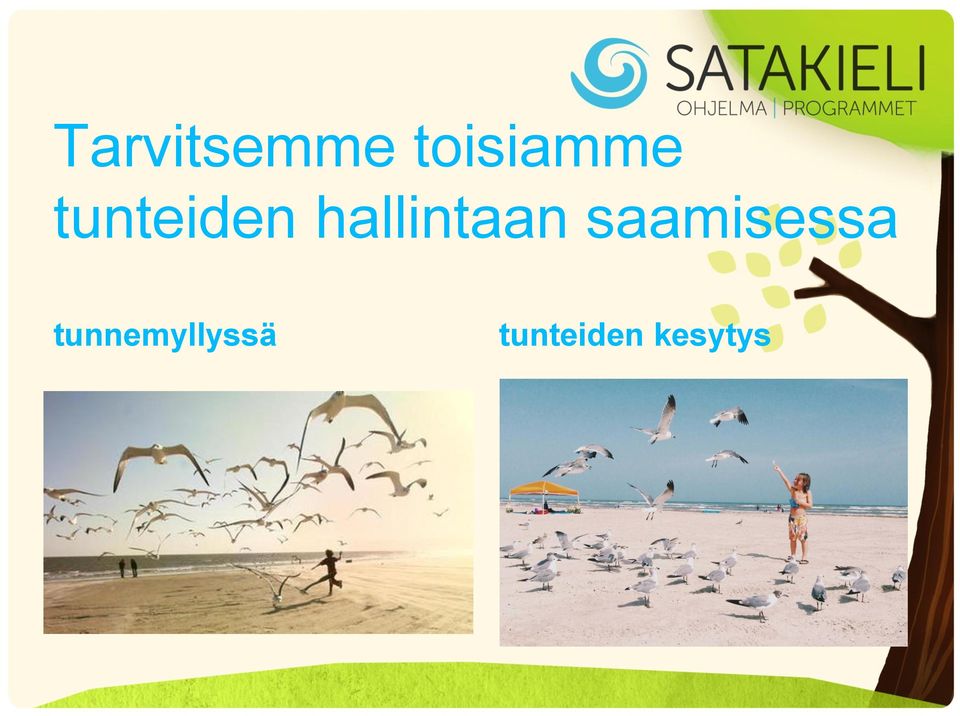 saamisessa