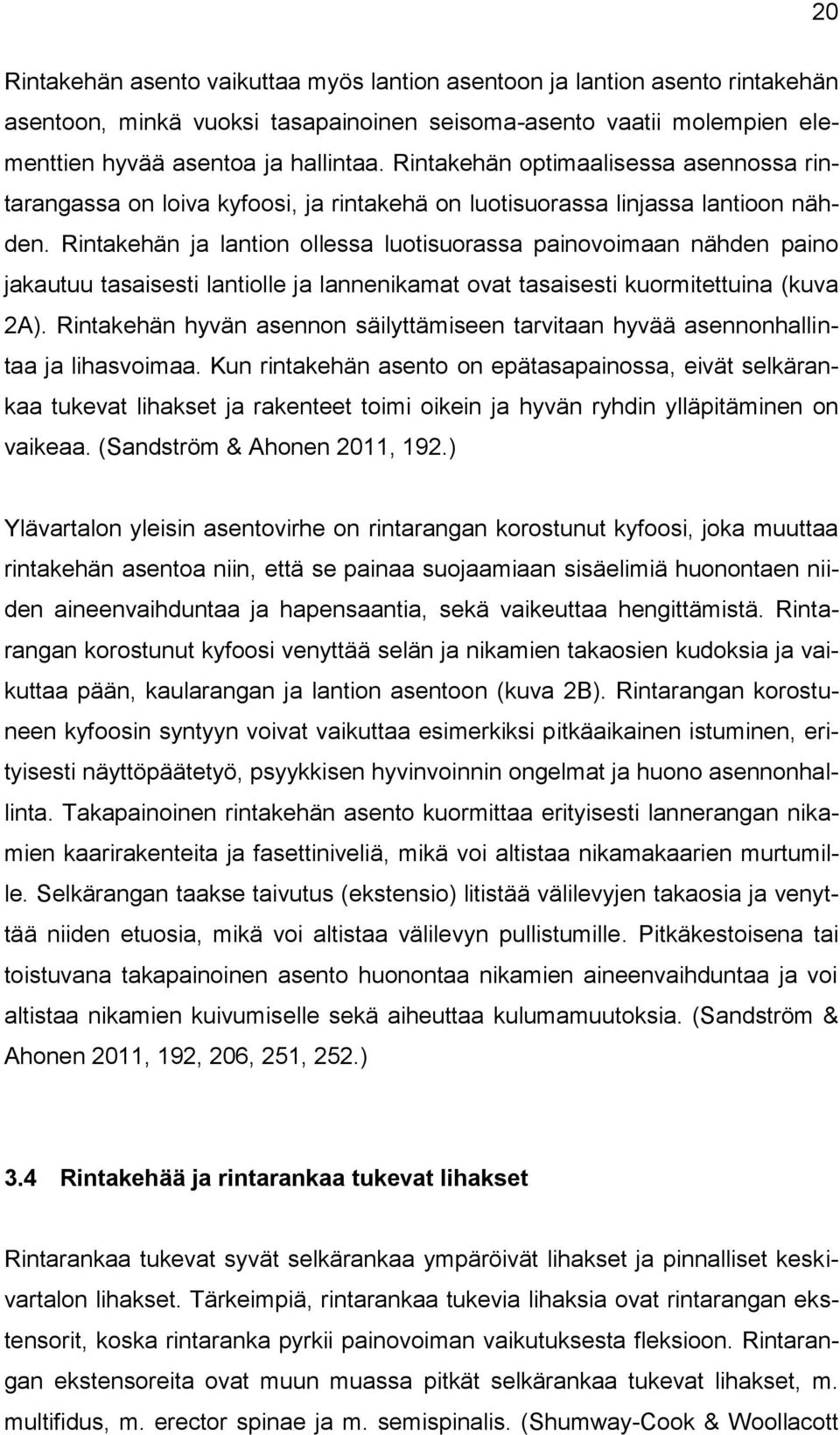 Rintakehän ja lantion ollessa luotisuorassa painovoimaan nähden paino jakautuu tasaisesti lantiolle ja lannenikamat ovat tasaisesti kuormitettuina (kuva 2A).