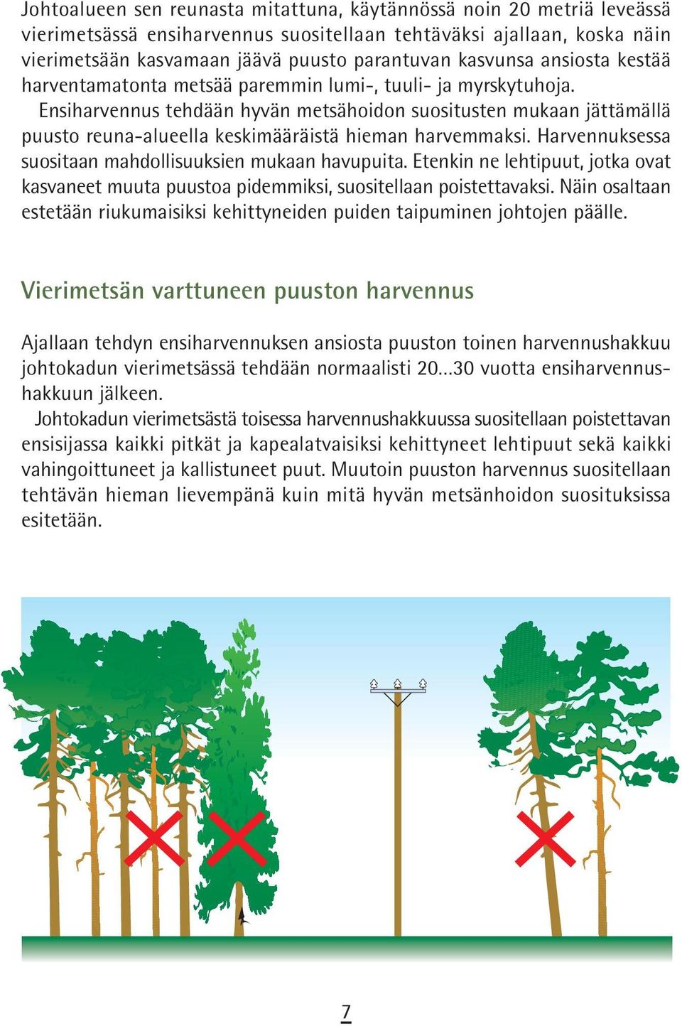 Ensiharvennus tehdään hyvän metsähoidon suositusten mukaan jättämällä puusto reuna-alueella keskimääräistä hieman harvemmaksi. Harvennuksessa suositaan mahdollisuuksien mukaan havupuita.