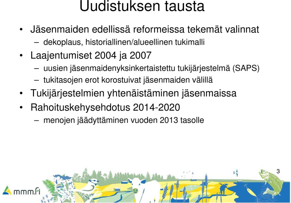 jäsenmaidenyksinkertaistettu tukijärjestelmä (SAPS) tukitasojen erot korostuivat jäsenmaiden