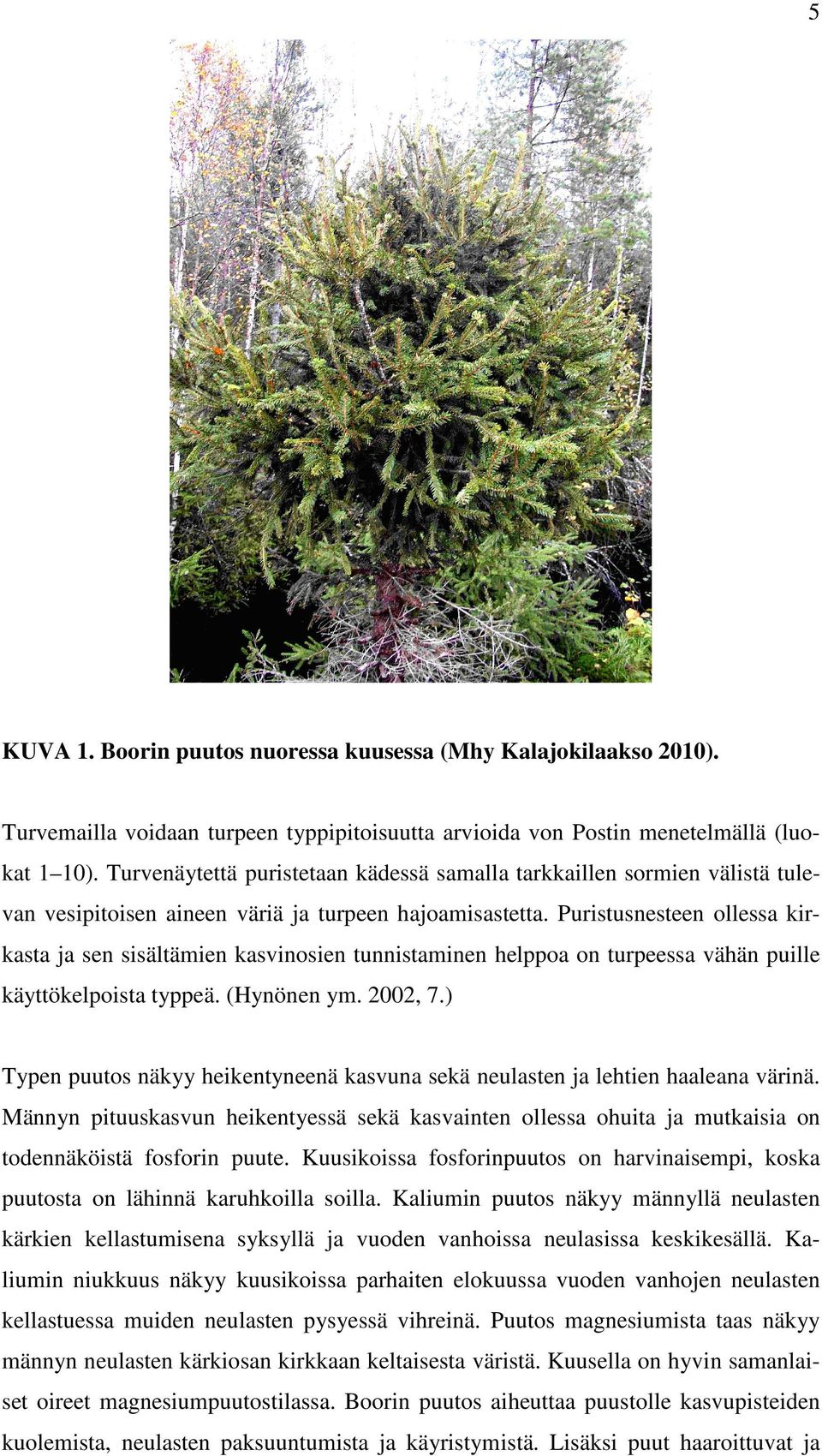 Puristusnesteen ollessa kirkasta ja sen sisältämien kasvinosien tunnistaminen helppoa on turpeessa vähän puille käyttökelpoista typpeä. (Hynönen ym. 2002, 7.