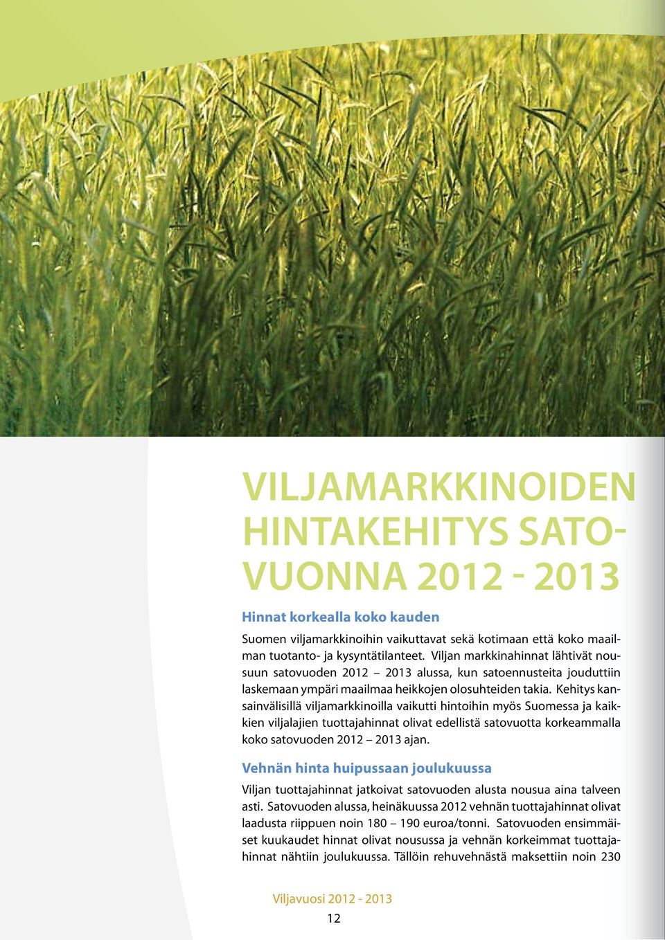 Kehitys kansainvälisillä viljamarkkinoilla vaikutti hintoihin myös Suomessa ja kaikallkien viljalajien tuottajahinnat olivat edellistä satovuotta korkeammalla koko satovuoden 2012 2013 ajan.