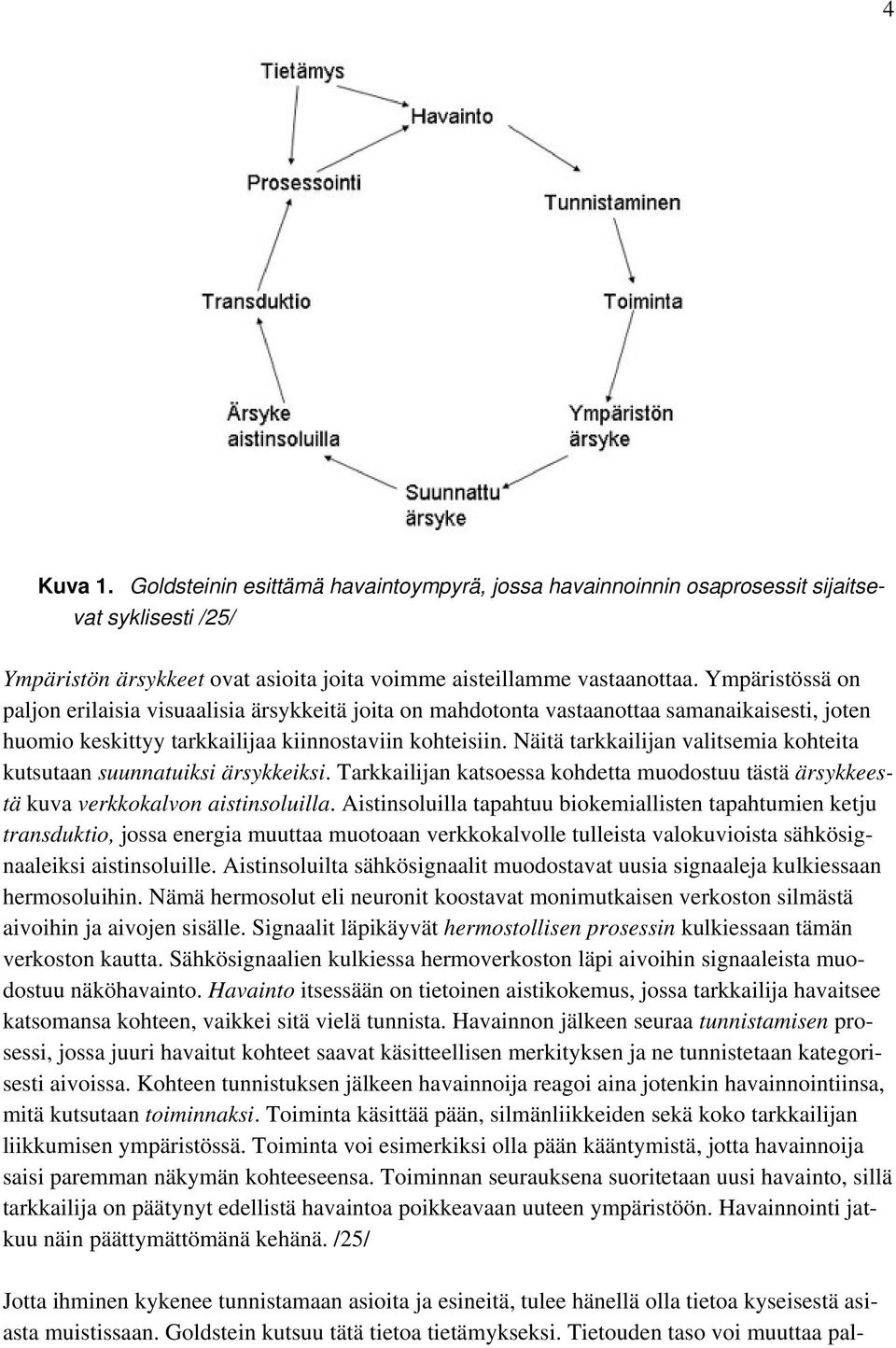 Näitä tarkkailijan valitsemia kohteita kutsutaan suunnatuiksi ärsykkeiksi. Tarkkailijan katsoessa kohdetta muodostuu tästä ärsykkeestä kuva verkkokalvon aistinsoluilla.