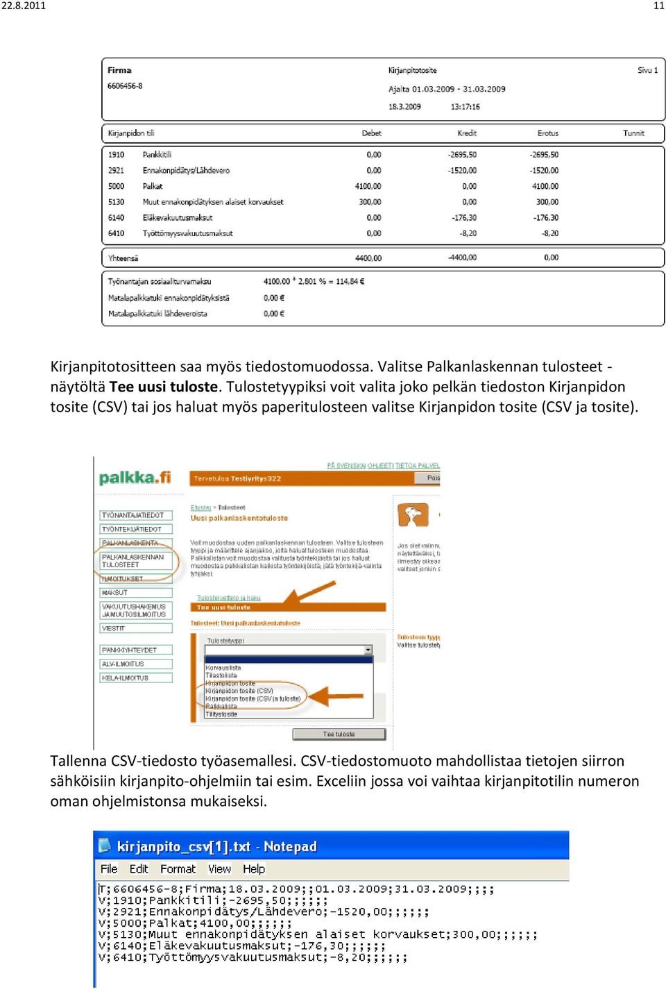 Kirjanpidon tosite (CSV ja tosite). Tallenna CSV-tiedosto työasemallesi.