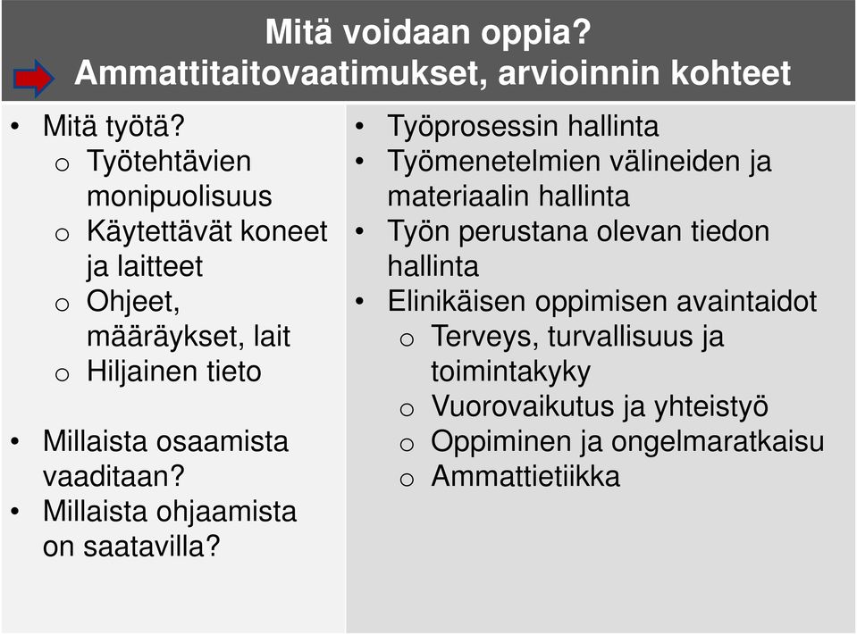 vaaditaan? Millaista ohjaamista on saatavilla?