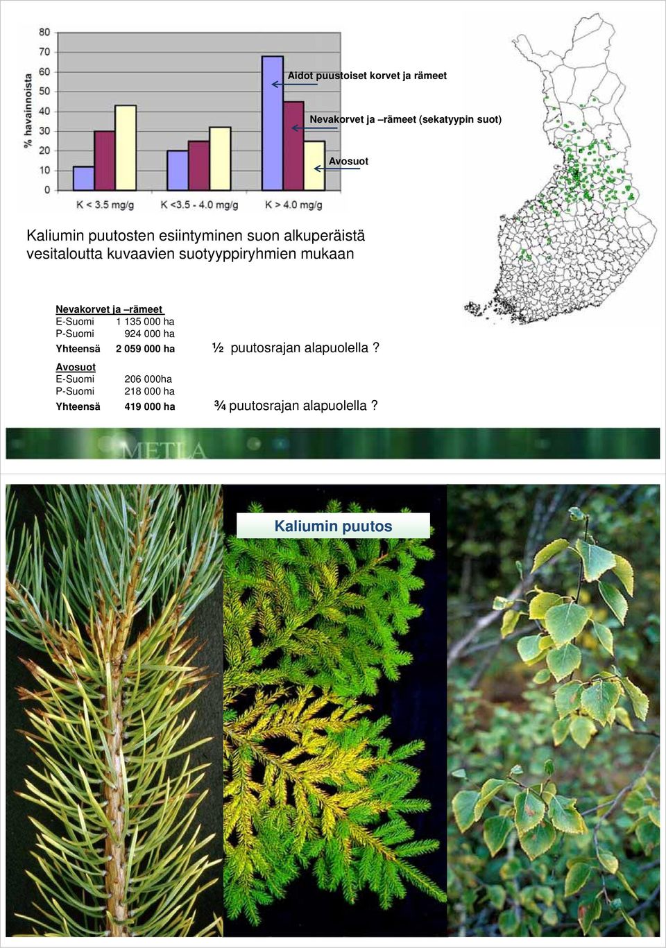ja rämeet E-Suomi 1 135 000 ha P-Suomi 924 000 ha Yhteensä 2 059 000 ha ½ puutosrajan alapuolella?