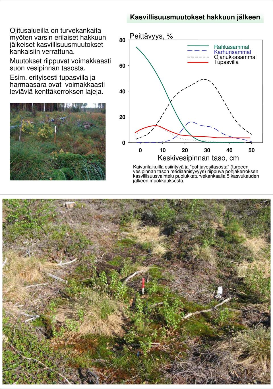 80 60 40 Peittävyys, % Rahkasammal Karhunsammal Ojanukkasammal Tupasvilla 20 0 0 10 20 30 40 50 Keskivesipinnan taso, cm Kaivurilaikuilla esiintyvä ja