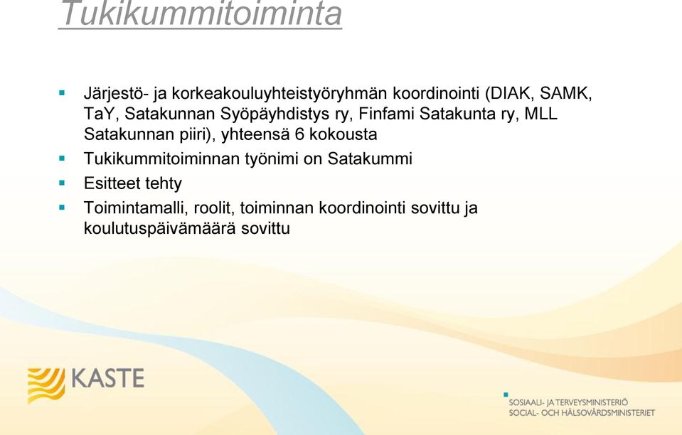 piiri), yhteensä 6 kokousta Tukikummitoiminnan työnimi on Satakummi Esitteet