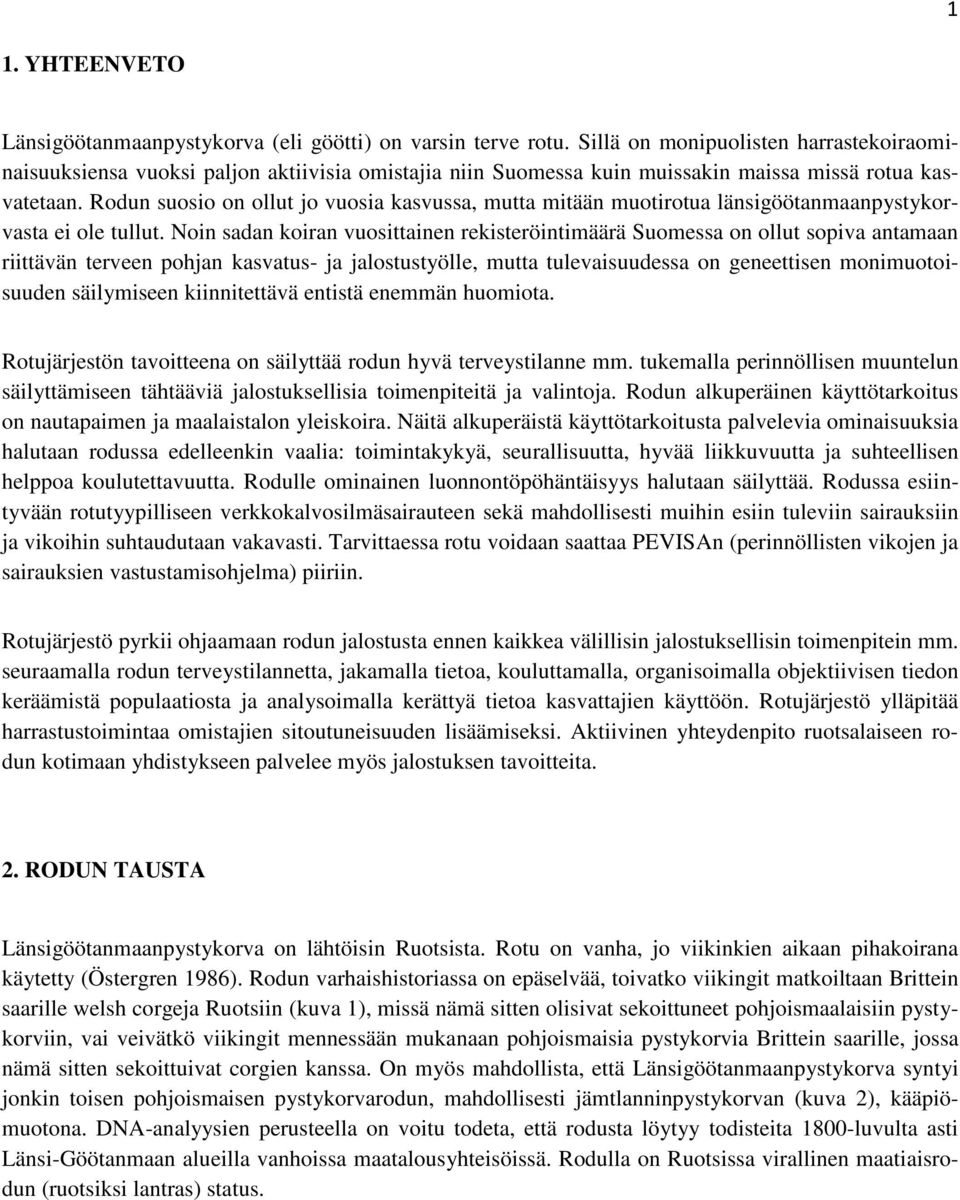 Rodun suosio on ollut jo vuosia kasvussa, mutta mitään muotirotua länsigöötanmaanpystykorvasta ei ole tullut.