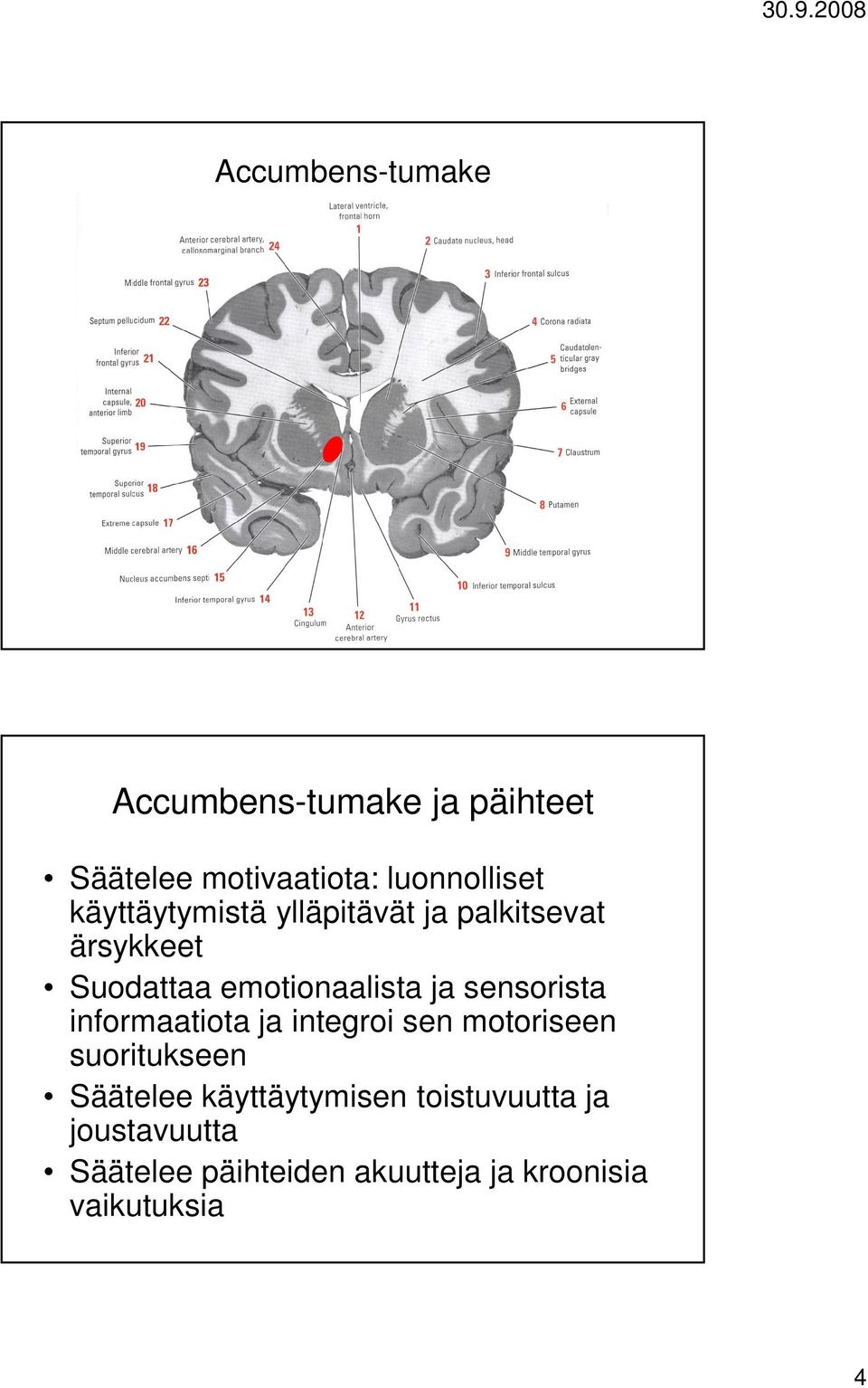 sensorista informaatiota ja integroi sen motoriseen suoritukseen Säätelee