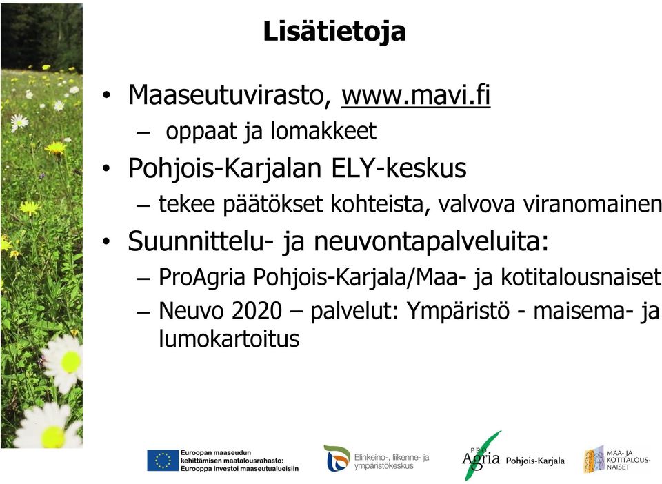 kohteista, valvova viranomainen Suunnittelu- ja neuvontapalveluita: