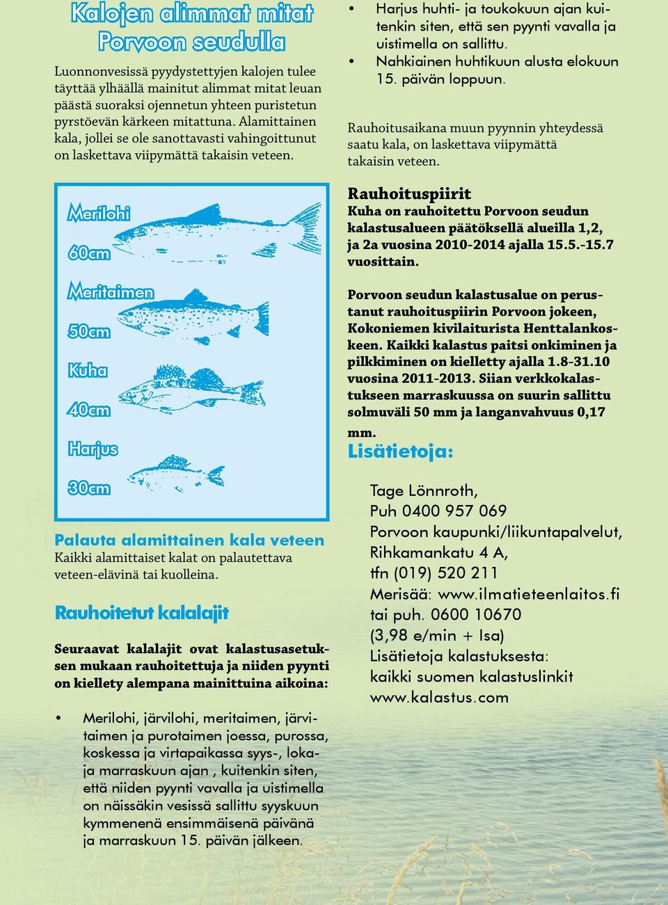 Merilohi 60cm Meritaimen 50cm Kuha 40cm Harjus 30cm Palauta alamittainen kala veteen Kaikki alamittaiset kalat on palautettava veteen-elävinä tai kuolleina.