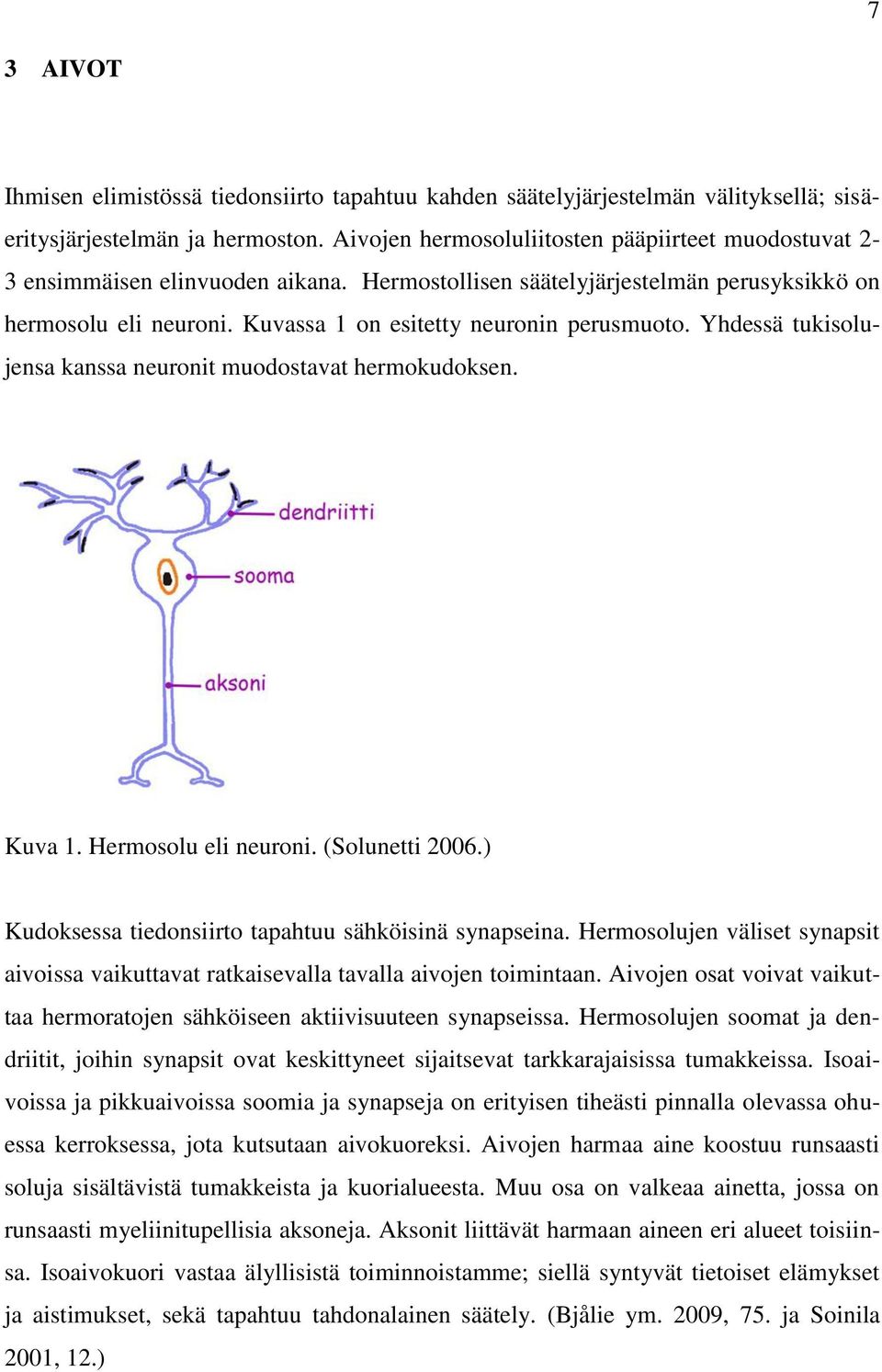 Yhdessä tukisolujensa kanssa neuronit muodostavat hermokudoksen. Kuva. Hermosolu eli neuroni. (Solunetti 2006.) Kudoksessa tiedonsiirto tapahtuu sähköisinä synapseina.