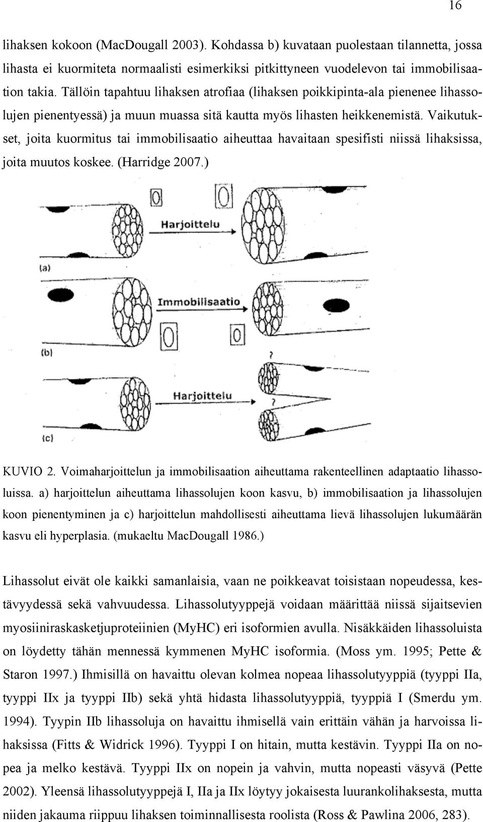 Vaikutukset, joita kuormitus tai immobilisaatio aiheuttaa havaitaan spesifisti niissä lihaksissa, joita muutos koskee. (Harridge 2007.) KUVIO 2.