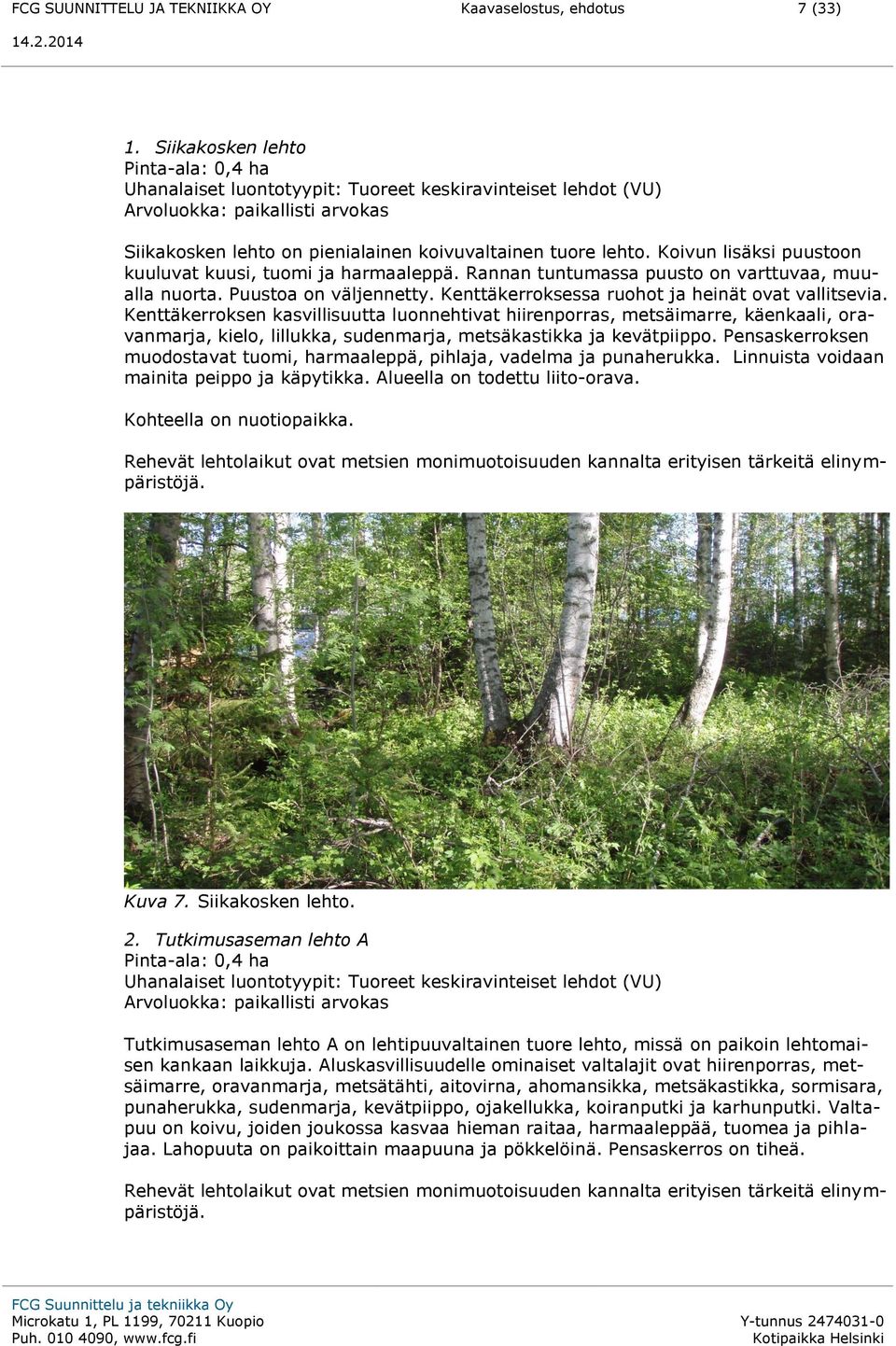 Koivun lisäksi puustoon kuuluvat kuusi, tuomi ja harmaaleppä. Rannan tuntumassa puusto on varttuvaa, muualla nuorta. Puustoa on väljennetty. Kenttäkerroksessa ruohot ja heinät ovat vallitsevia.