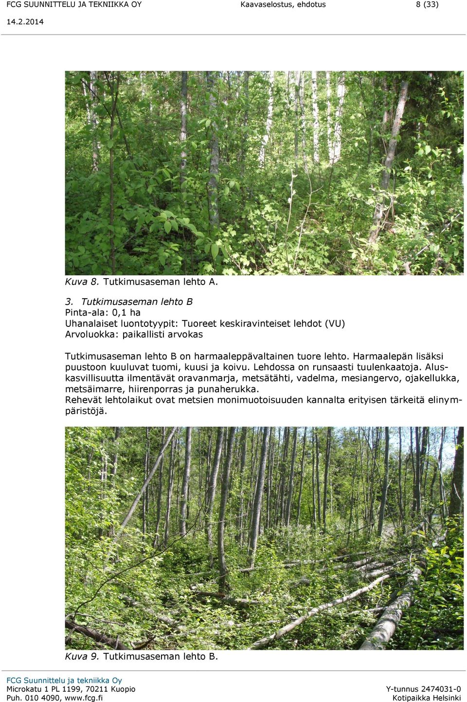 harmaaleppävaltainen tuore lehto. Harmaalepän lisäksi puustoon kuuluvat tuomi, kuusi ja koivu. Lehdossa on runsaasti tuulenkaatoja.