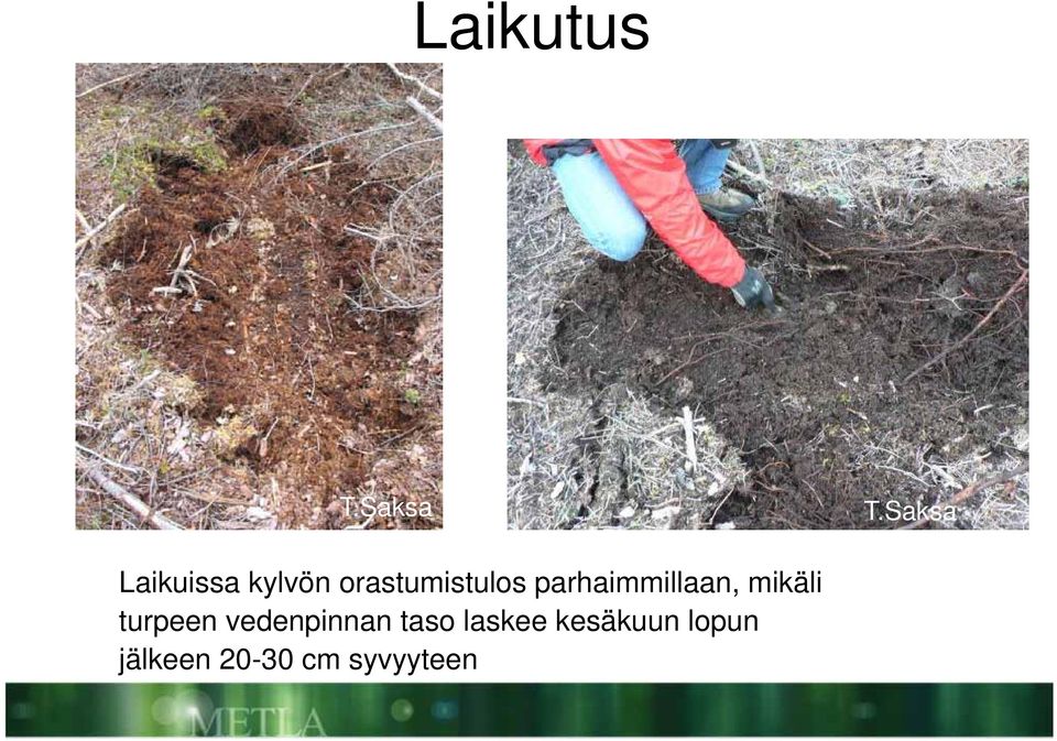 parhaimmillaan, mikäli turpeen