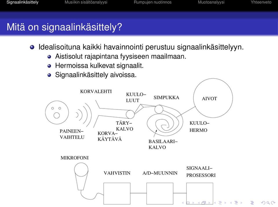 Aistisolut rajapintana fyysiseen maailmaan. Hermoissa kulkevat signaalit.