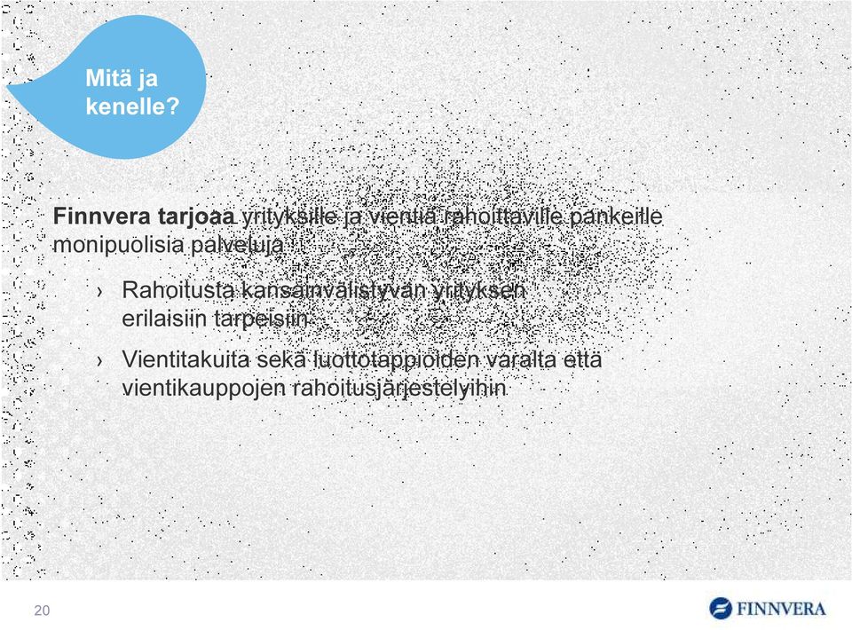 monipuolisia palveluja Rahoitusta kansainvälistyvän yrityksen