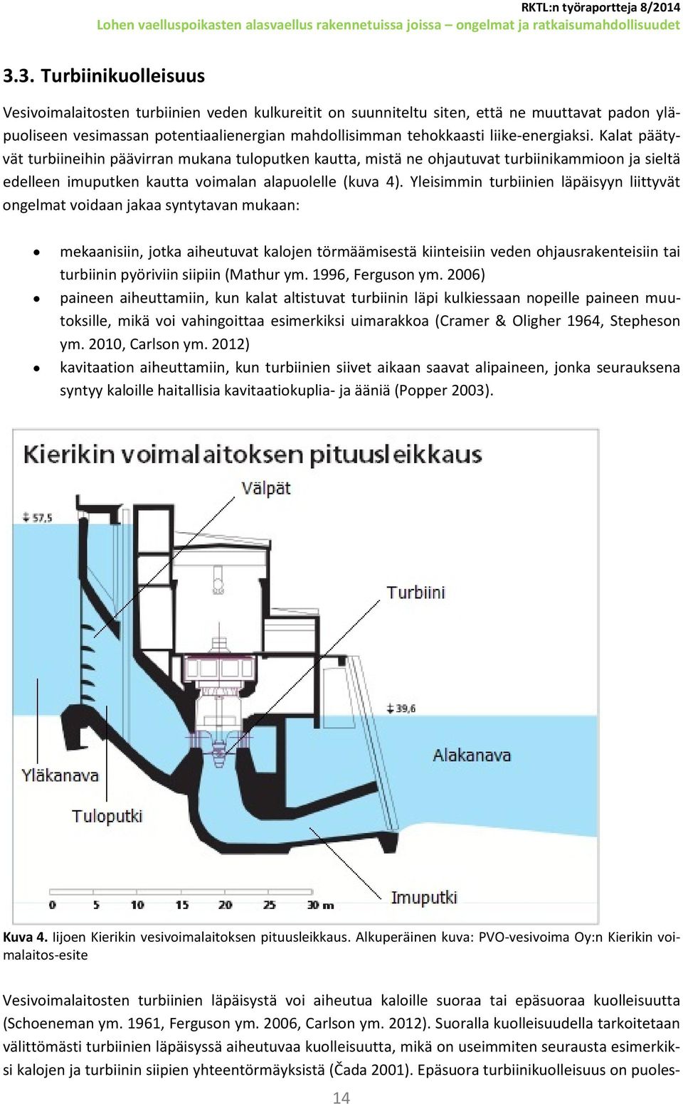 Yleisimmin turbiinien läpäisyyn liittyvät ongelmat voidaan jakaa syntytavan mukaan: mekaanisiin, jotka aiheutuvat kalojen törmäämisestä kiinteisiin veden ohjausrakenteisiin tai turbiinin pyöriviin