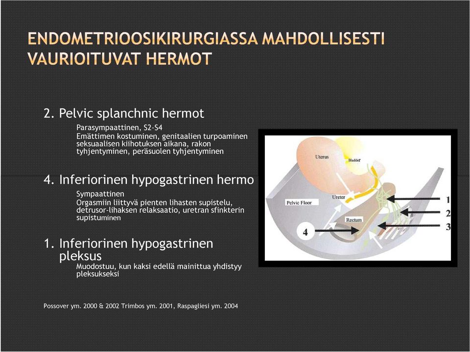 Inferiorinen hypogastrinen hermo Sympaattinen Orgasmiin liittyvä pienten lihasten supistelu, detrusor-lihaksen relaksaatio,