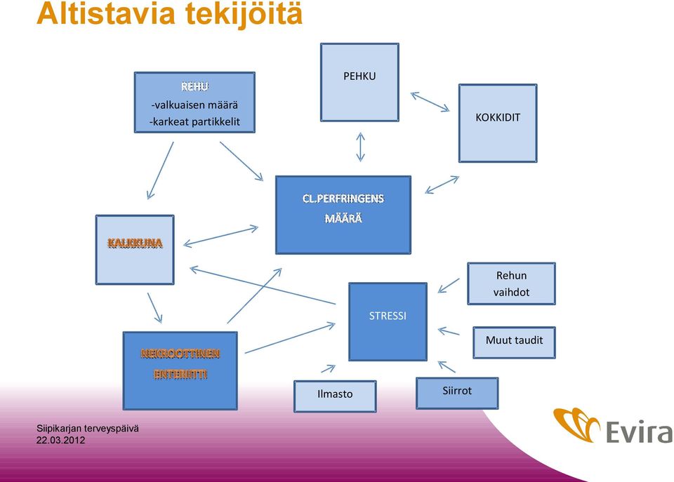 partikkelit KOKKIDIT Rehun