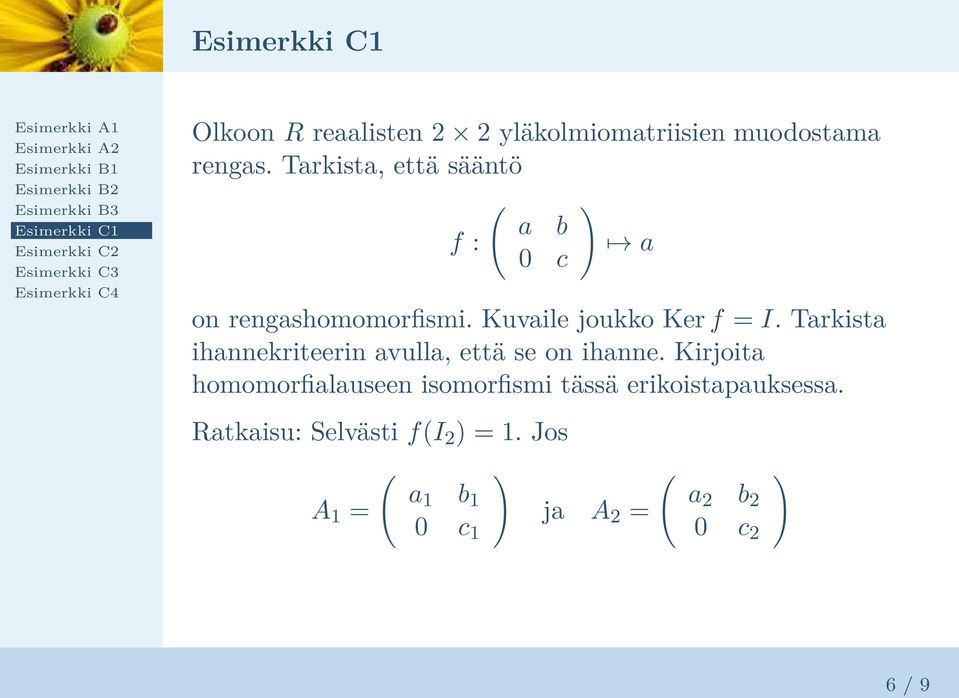 Tarkista ihannekriteerin avulla, että se on ihanne.