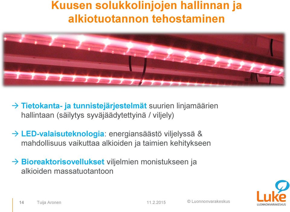 LED-valaisuteknologia: energiansäästö viljelyssä & mahdollisuus vaikuttaa alkioiden ja taimien