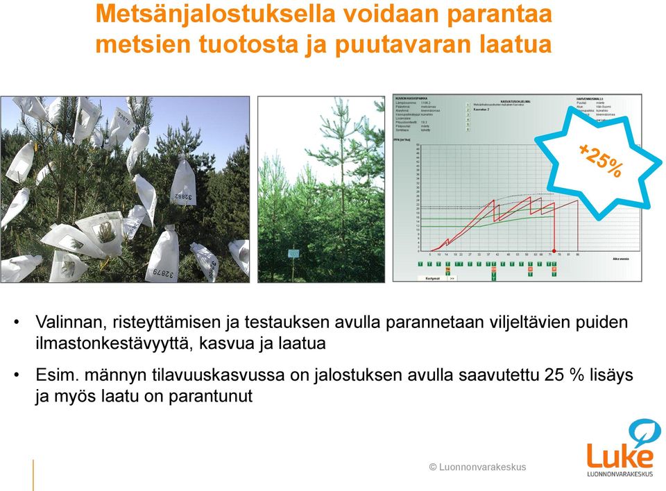 viljeltävien puiden ilmastonkestävyyttä, kasvua ja laatua Esim.