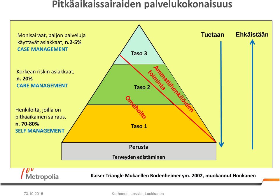 20% CARE MANAGEMENT Taso 2 Henkilöitä, joilla on pitkäaikainen sairaus, n.