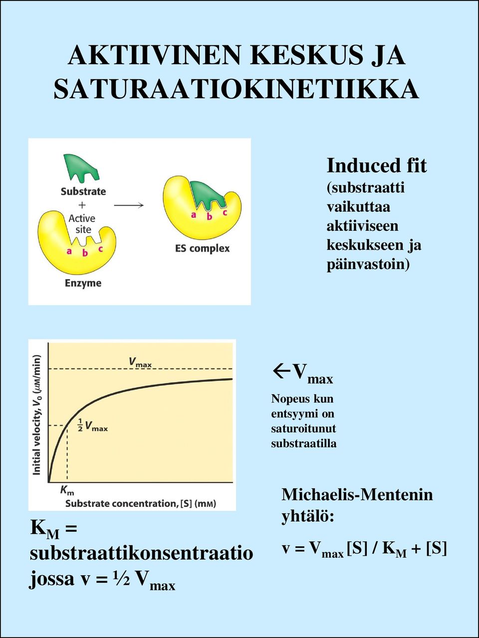 entsyymi on saturoitunut substraatilla K M =