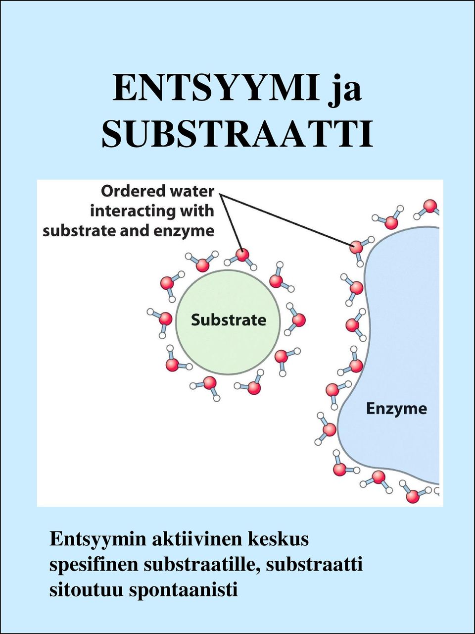 spesifinen substraatille,