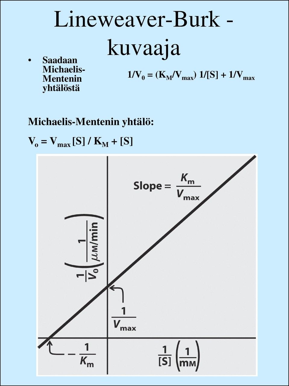 M /V max ) 1/[S] + 1/V max