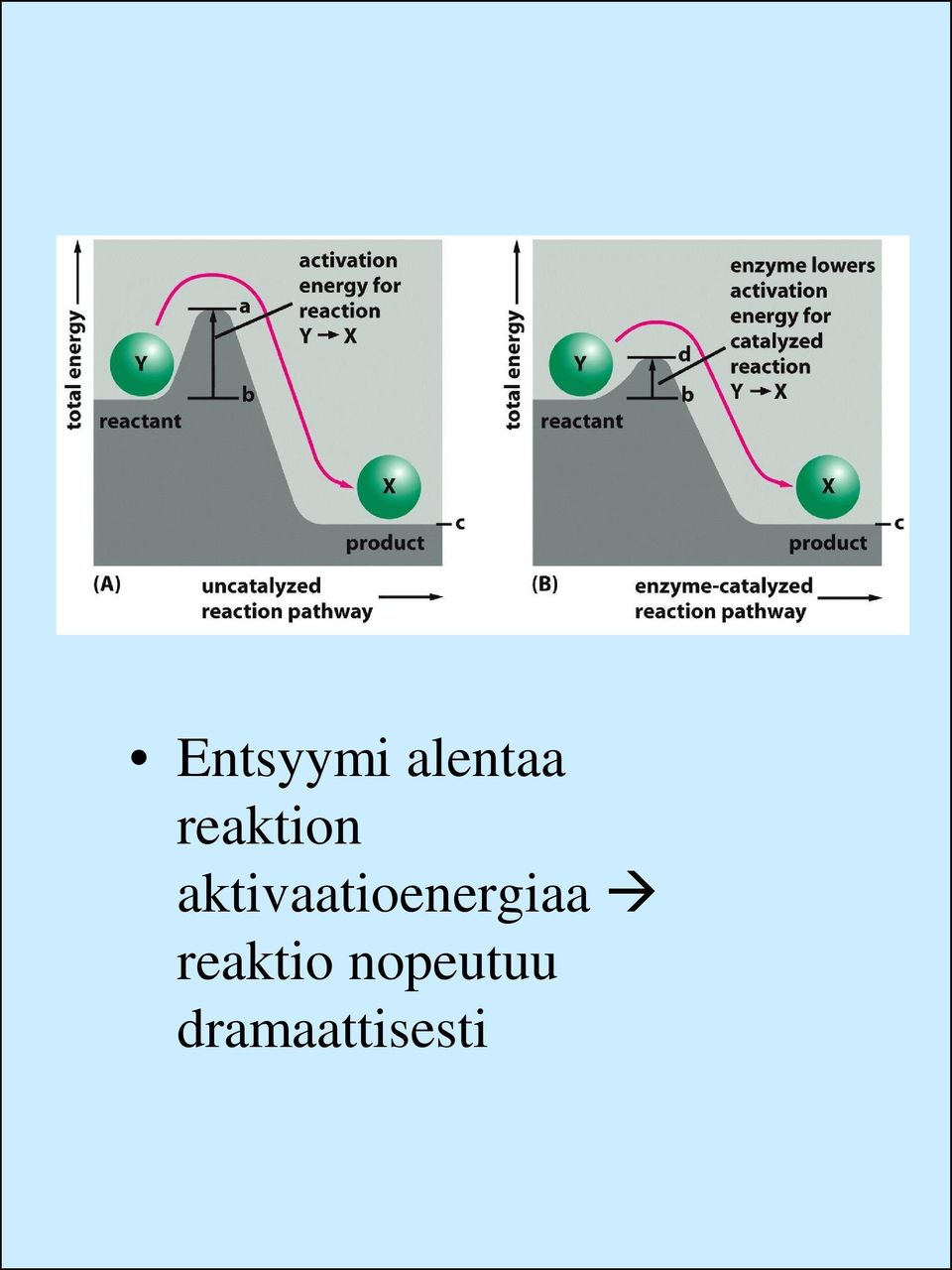 aktivaatioenergiaa