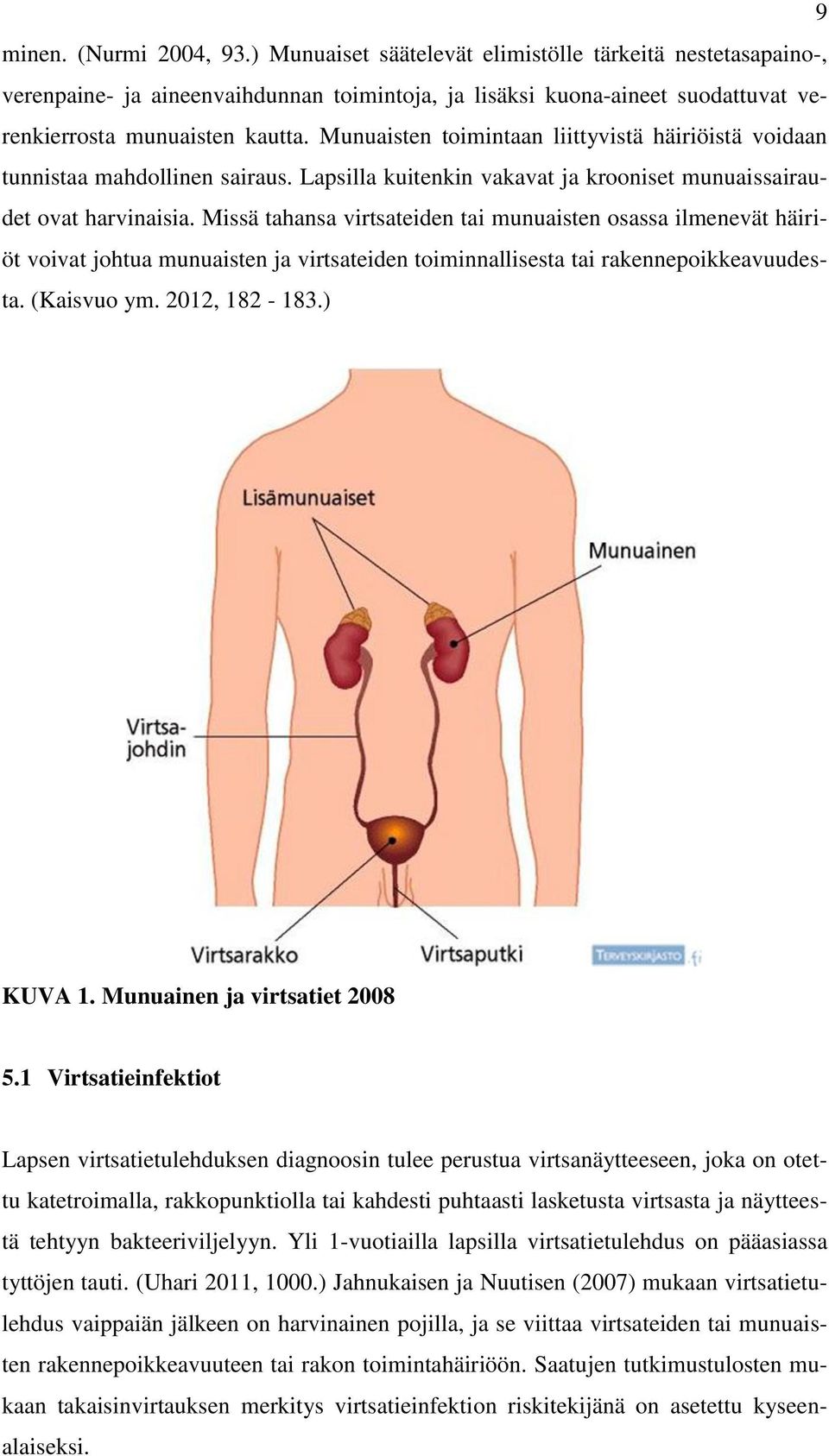 Missä tahansa virtsateiden tai munuaisten osassa ilmenevät häiriöt voivat johtua munuaisten ja virtsateiden toiminnallisesta tai rakennepoikkeavuudesta. (Kaisvuo ym. 2012, 182-183.) KUVA 1.
