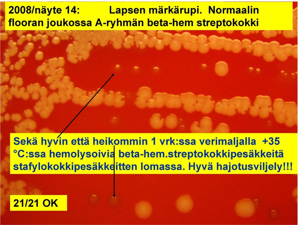 hyvin että heikommin 1 vrk:ssa verimaljalla +35 C:ssa