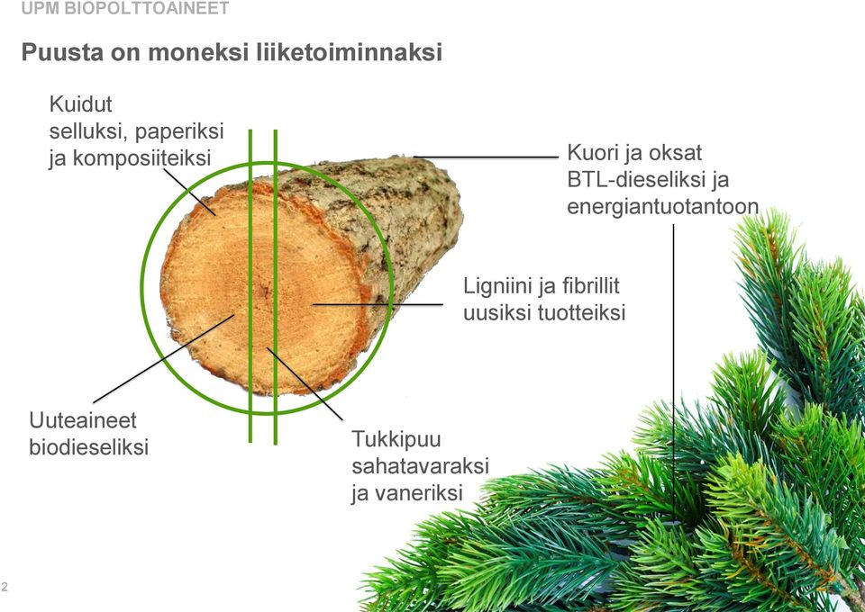 BTL-dieseliksi ja energiantuotantoon Ligniini ja fibrillit