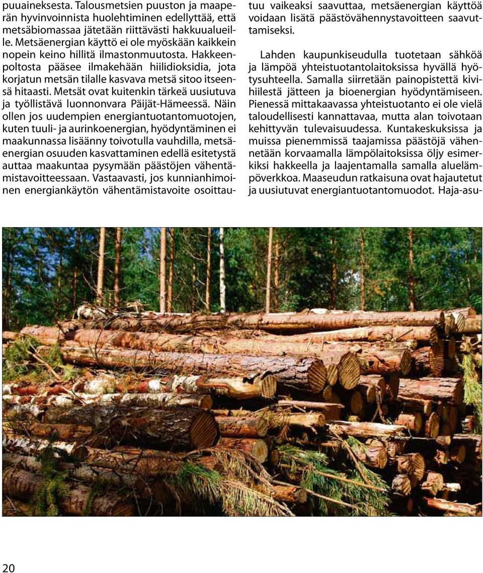 Hakkeenpoltosta pääsee ilmakehään hiilidioksidia, jota korjatun metsän tilalle kasvava metsä sitoo itseensä hitaasti. Metsät ovat kuitenkin tärkeä uusiutuva ja työllistävä luonnonvara Päijät-Hämeessä.