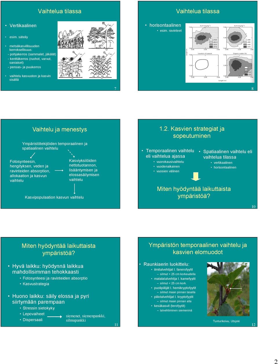 Kasvien strategiat ja Vaihtelu ja menestys tekijöiden temporaalinen ja spatiaalinen vaihtelu Fotosynteesin, hengityksen, veden ja ravinteiden absorption, allokaation ja kasvun vaihtelu 8