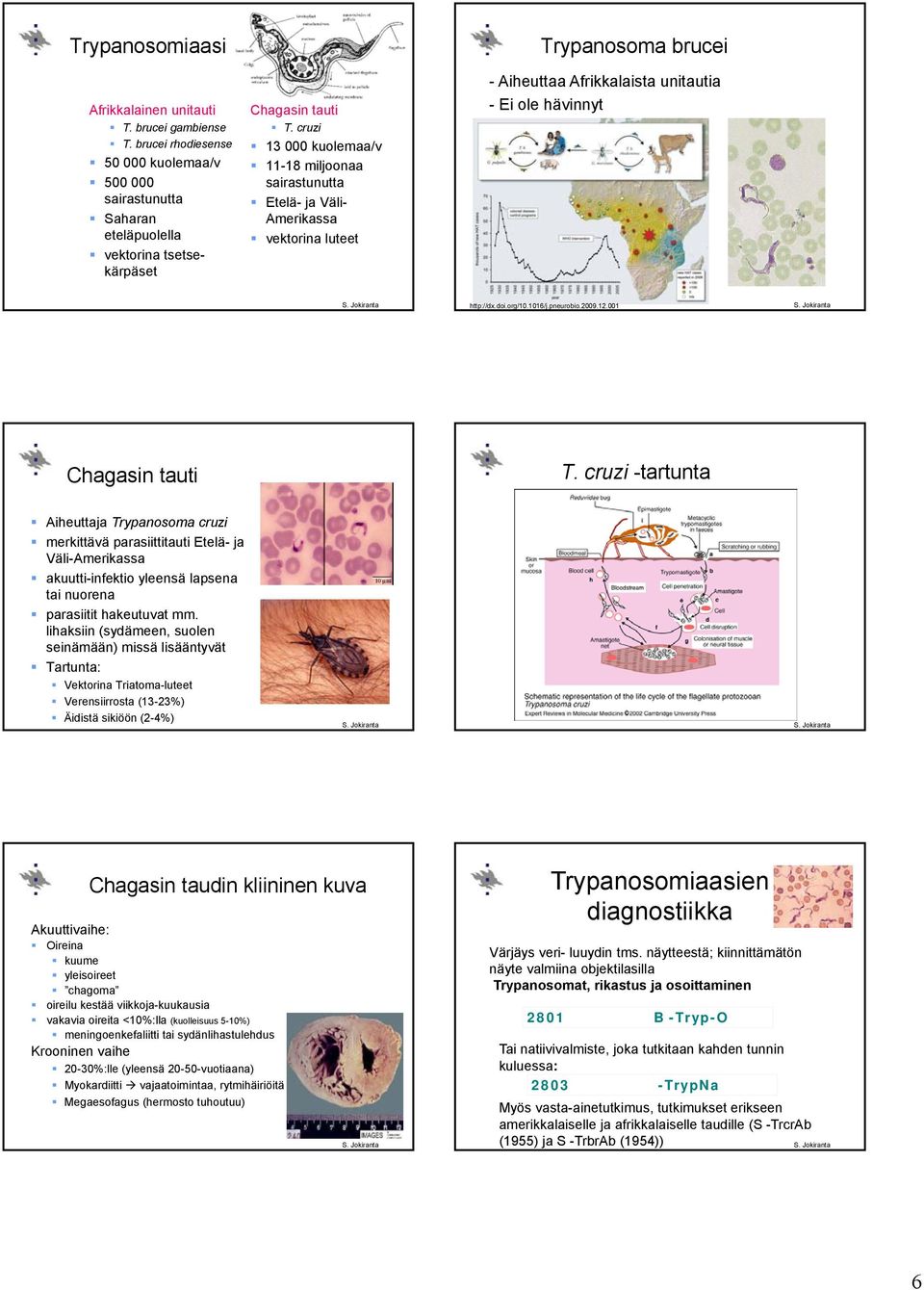 pneurobio.2009.12.001 Chagasin tauti T.